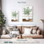 Pichet Harnek Eucalyptus-108600796