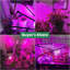 Maker Network Grow Light