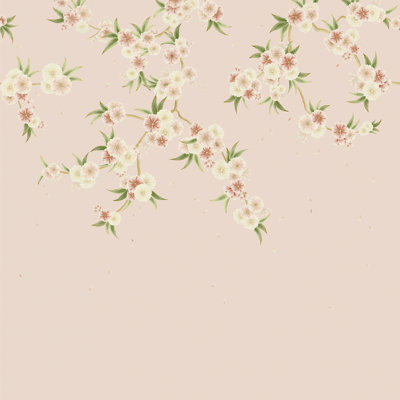 Rosa Wallpaper