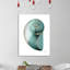 Shimmering Snail 2 - Wrapped Canvas Print-1086354417