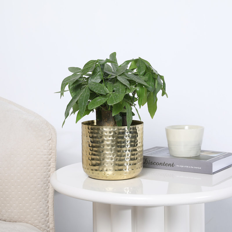 Handmade Metal Pot Planter