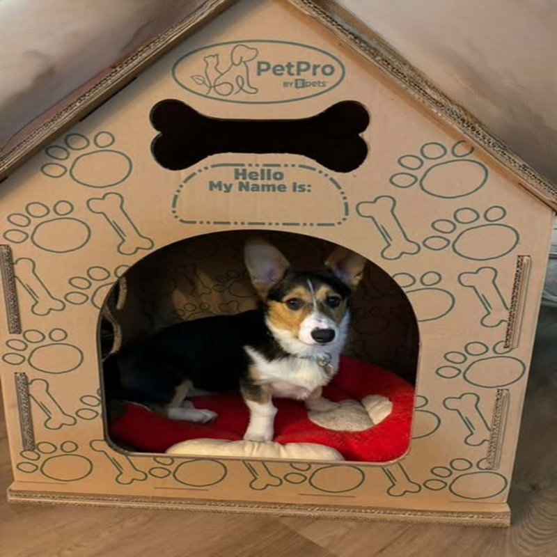 Eswin Cardboard Dog House