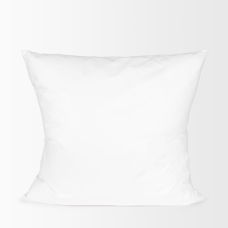 Insert de coussin carré Plume, 22 po x 22 po, Plumes