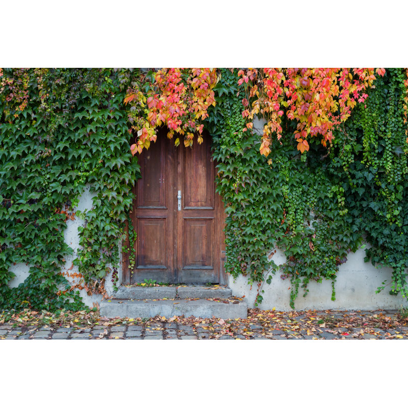 Ivy Overgrown On Door - Wrapped Canvas Print, 30cm H x 46cm W x 3.8cm D