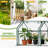 106 X 36 X 36 In. Clear PVC Greenhouse