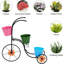 Angol Plant Stand