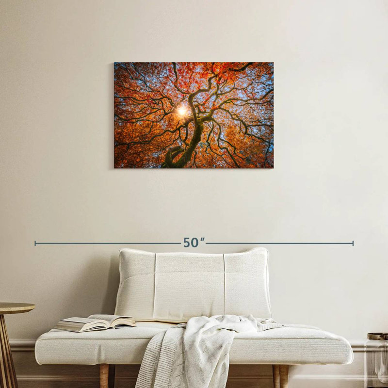 Harnek Japanese Maple Tree, 20" H x 30" W