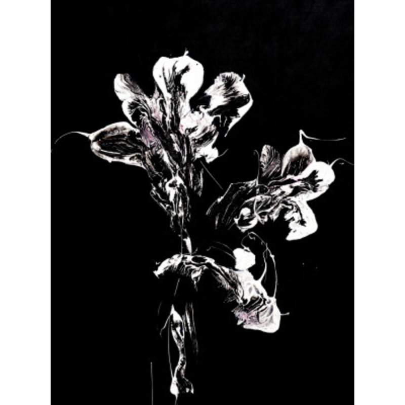 1 Piece Wrapped Canvas Wall Art