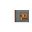 Hand Knotted Southwestern Area Rug