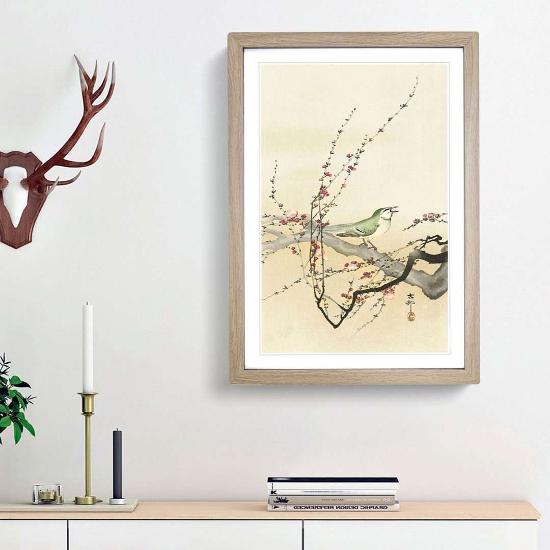 Songbird in a Plum Blossom Tree by Ohara Koson - Framed Print