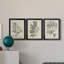 " Antique Black & White Botanical IV " 3 - Pieces Painting Print-508101476-508101472