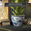 Landscape Vase-1118157664