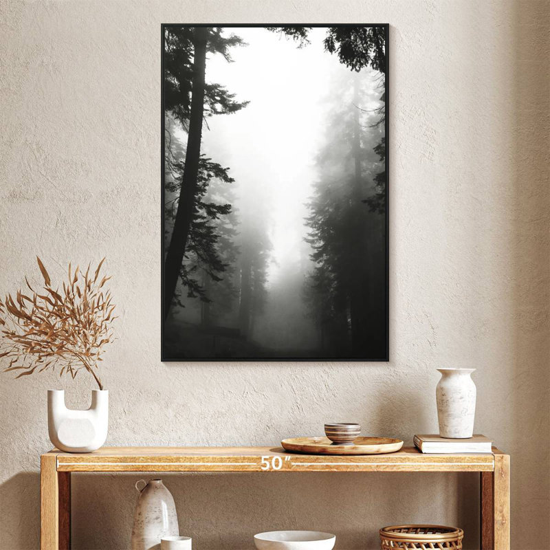 Misty Path, Floating Frame Black, 27" X 40"