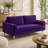 Moniet 66.9'' Velvet Loveseat-1346210745
