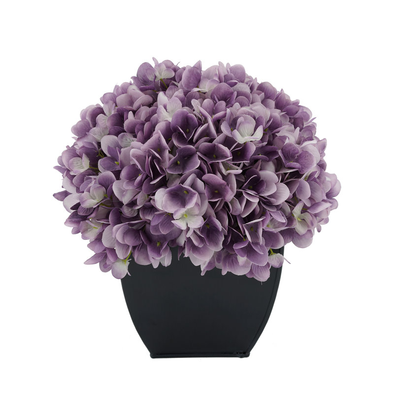 Arrangement floral hortensia en pot, Lavande