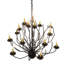 Sycamore 16 - Light Chandelier