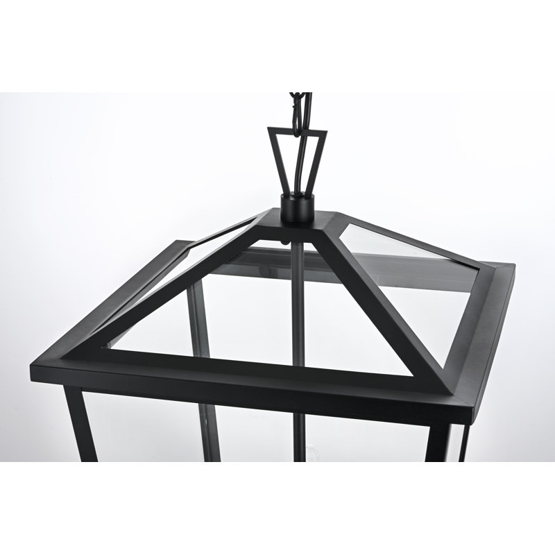 Danny Miyashiro Outdoor Pendant in Black, 22" H x 14" W x 14" D