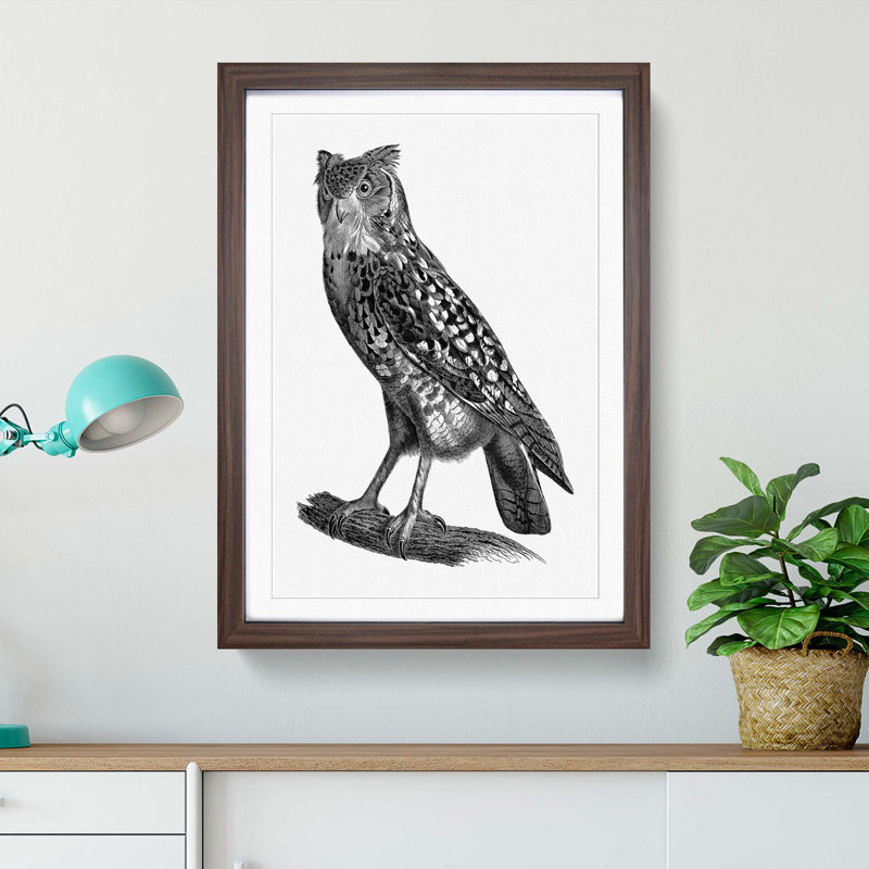 Egyptian Owl Illustration - Picture Frame Drawing Print, Walnut Framed, 48cm H x 36cm W x 2cm D