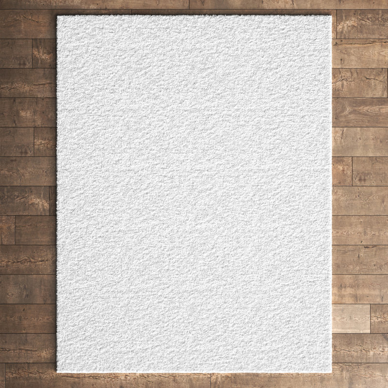 Asyana Esmee Shag White Rug, Rectangle 3'3" x 5'