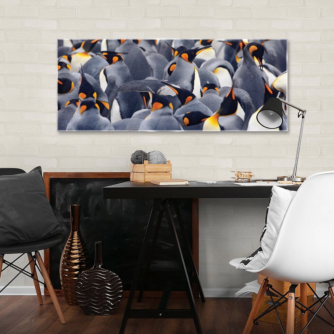 Glasbild Pinguine