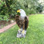 Statue aigle à tête blanche