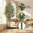 71" 6FT Tall Faux Olive Tree, Realistic Artificial Olive Plant with Full Dense Leaves and Natural Trunk, Maintenance-Free Potted Floor Tree for Home Office Corner Decoration-1244475263