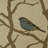 Pyrhulla No Decorative Addition Feather Throw Pillow