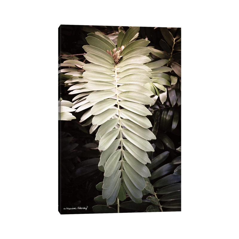 Sunkissed Fern by Melissa Hanley - Wrapped Canvas Gallery-Wrapped Canvas Giclée, 66.04 cm H x 45.72 cm W x 1.91 cm D