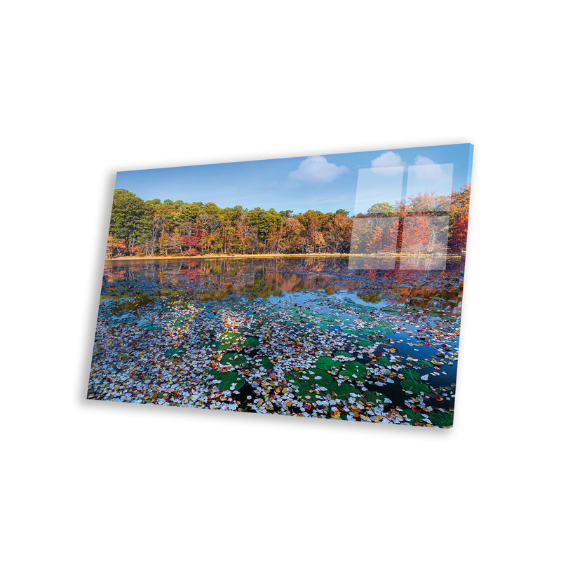 Yordan Fallen Leaves On Lake, Daingerfield State Park, Texas par Tim Fitzharris