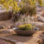 Pot à fleurs Pure Series Lane-1208982255-1208986581-1281804845