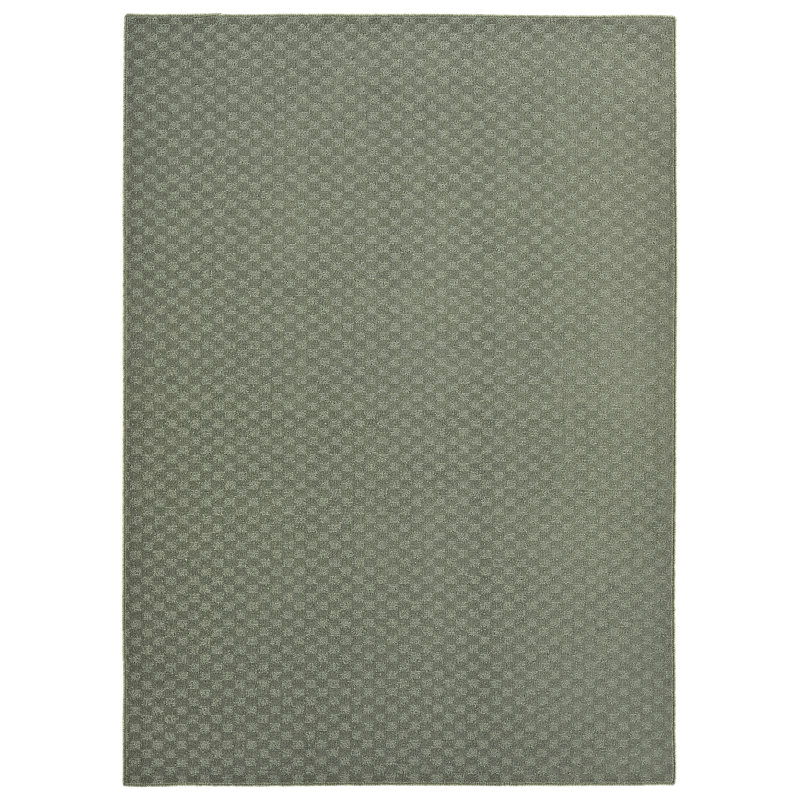 Ebern Designs Bonroy Area Rug Sage, Rectangle 8' x 10'