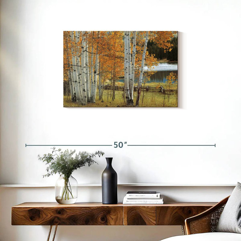 Alvord Birch Beauty, H 20 po x l 30 po