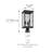 Lantern Head