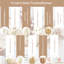 Wym 17cm Pampas Grass Grass