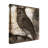Bolog Sasha Owl 2 Canvas Art-104137955