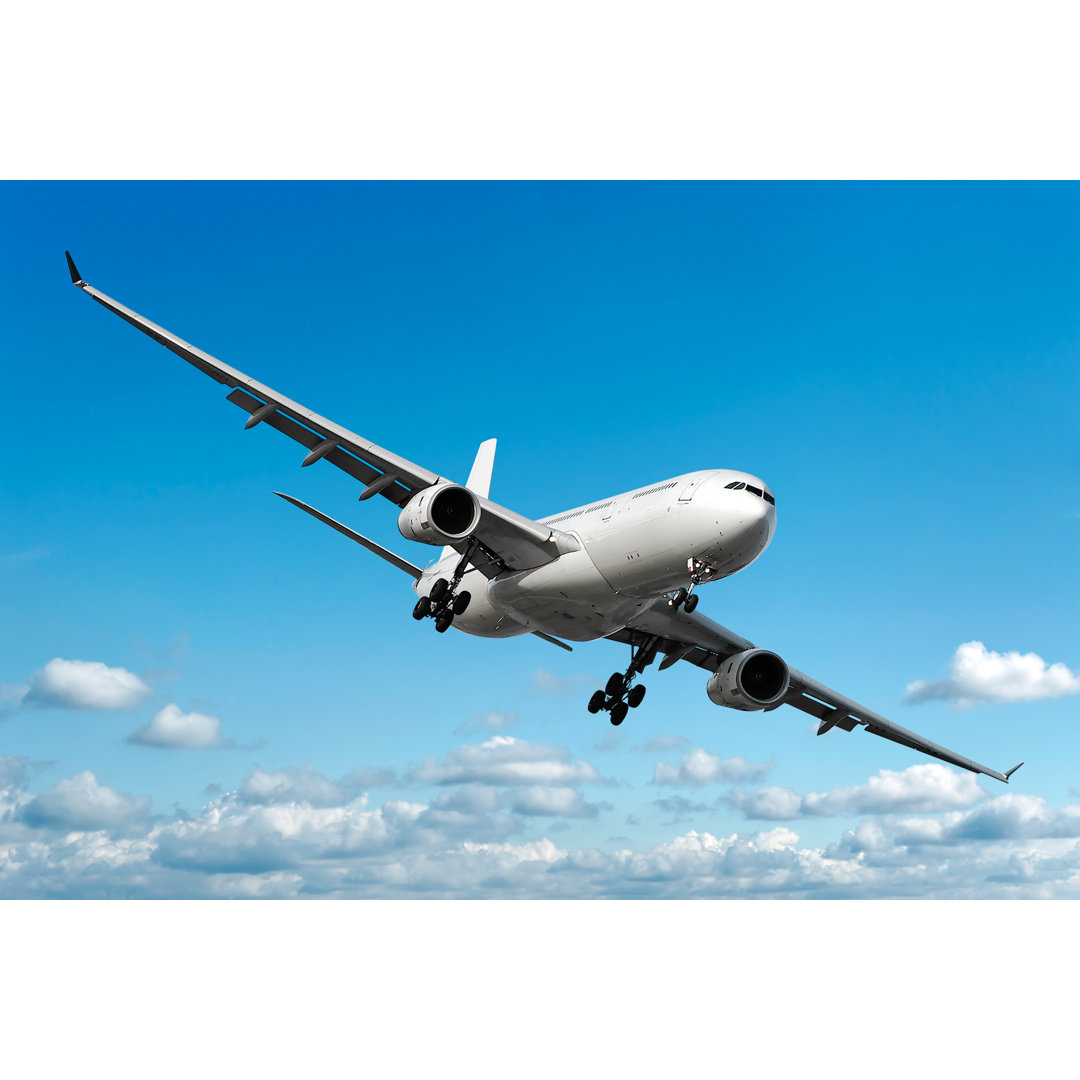 Jet Airplane Landing In Bright Sky von Sharply_done - Drucken