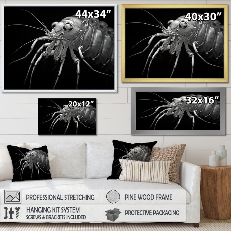 Crevettes noires et blanches, reproduction de photo sur toile, H 30 po x l 40 po x P 1,5 po, Cadre flottant doré
