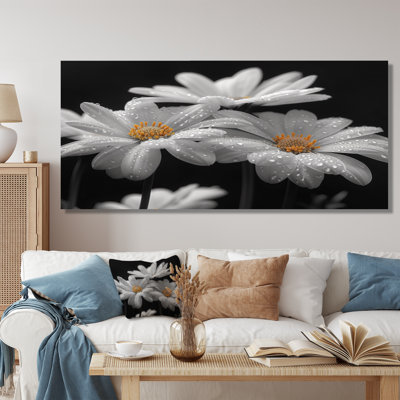 Monochrôme noir et blanc, bonheur, photo III - marguerites, art mural
