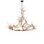 12 - Light Chandelier