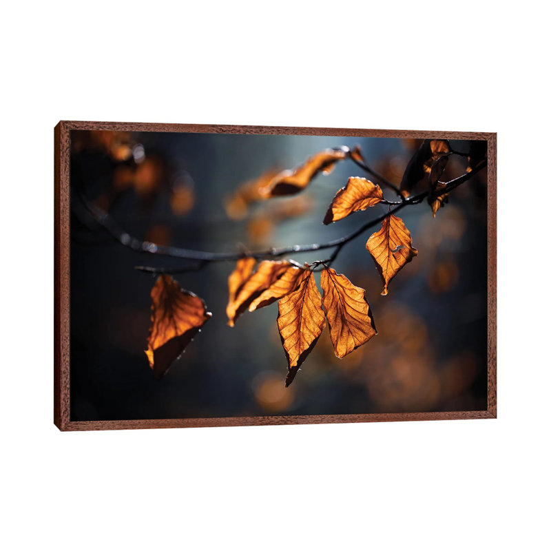 Autumn Leaves by Mateusz Piesiak - Floater Frame Print on Canvas, 101.6 cm H x 66.04 cm W, Classic Brown Wood Framed Canvas