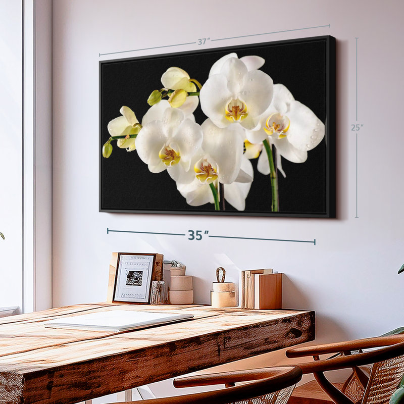 Fleurs fraîches d'orchidées blanches sur toile, H 9 po x l 13 po