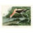 JOHN JAMES AUDUBON (AMERICAN AVOCET) 60X80 CANVAS - Wrapped Canvas Canvas
