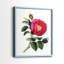«Botanical Beauty I», reproduction encadrée de qualité supérieure - prête à être accrochée - aucun clou requis - aucun clou requis-574781677-574781676