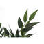 Plante artificielle