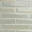 Paint 3x16 Glossy Porcelain Tile-532666461