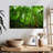 Alvord Basse-Terre Jungle-111834863