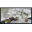 A Pear-Fect Bunch Painting-49510701