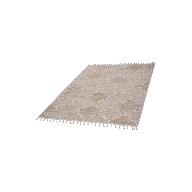 Collection 6X9 Trellis Indoor/Outdoor Area Rug, Brown, Rectangle 6'7" x 7'9"