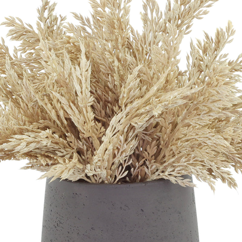 Pampas Arranged in Fiberstone Pot