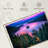 Alvord Pink Lake Tahoe-107490044